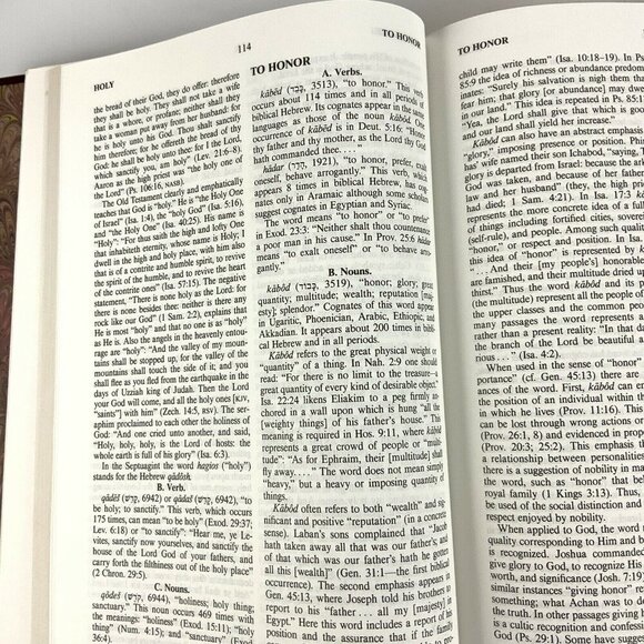 Vines Complete Expository Dictionary Of Old & New Testament Words Leather Bound - Picture 7 of 10